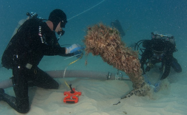 Documenting Anchor in Situ