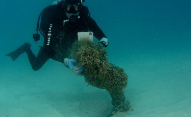 anchor in situ